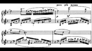 Сергей Рахманинов - Daisies, op.38, no.3 video