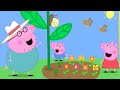Best Of Peppa Pig Season 5 The GIANT Flower Full Episodes Compilation 12