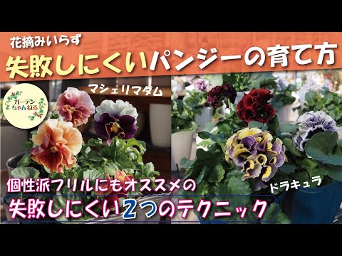 耐寒性の植物や低木