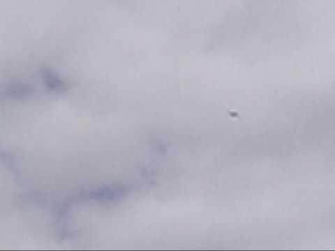 Ripmax P51 maiden flight