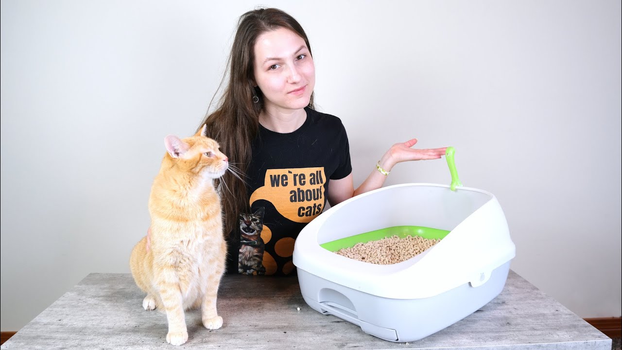 Tidy Cats Breeze Litter Box Review (We Tried It for 2 Weeks)