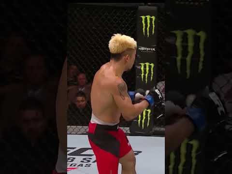 Why Volkanovski's Low Kick Isn't About Damage
