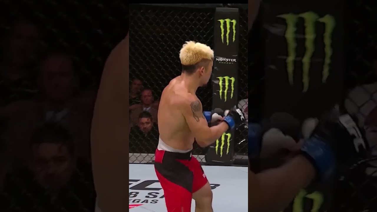 Why Volkanovski's Low Kick Isn't About Damage
