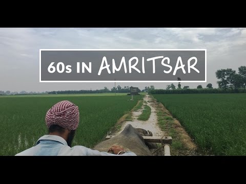 60 Seconds in Amritsar | The Travel Intern