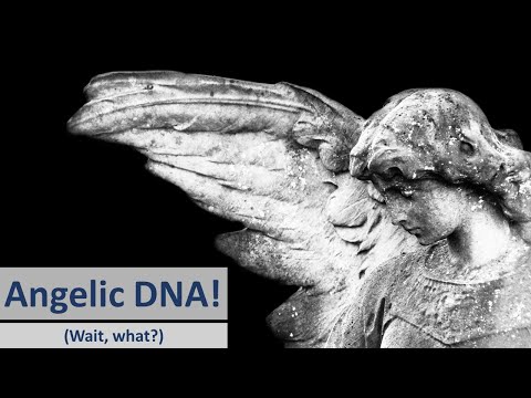 Angelic DNA! Wait, what?