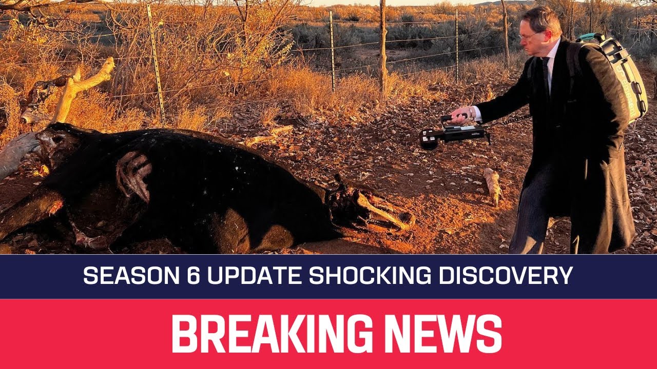 YouTube Thumbnail Downloader FULL HQ IMAGE