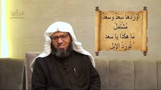 صورة الجنى الداني من أمثال الإمام الألباني _ الحلقة (١٤) أوردها سعد وسعد مشتمل