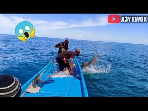 IKAN HIU MONSTER INI MENGAMUK😬 Fishing for Giant Sharks