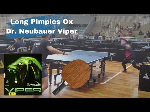 Dr. Neubauer Viper Ox - Semi Final - State Championship 2023