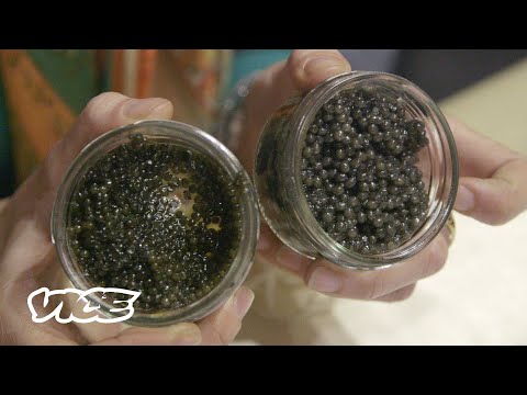Tehran: Beluga Caviar is Black Gold