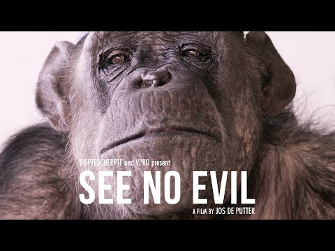 See No Evil