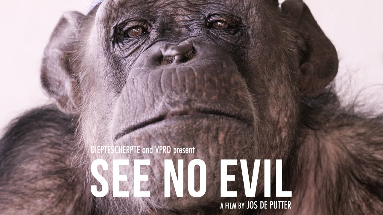 See No Evil