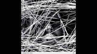 Peygamber Vitesi - Çamur