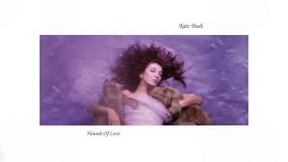 Kate Bush - Burning Bridge (Instrumental)