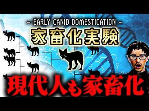 時代を超えた家畜たち