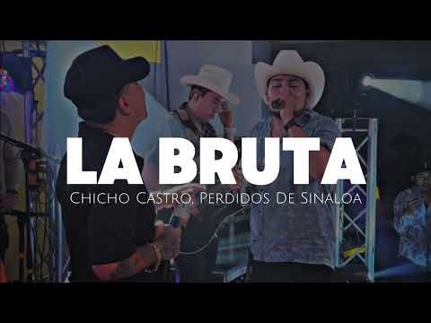 La Bruta - Chicho Castro, Perdidos De Sinaloa (2024)
