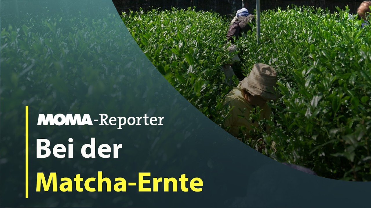 MOMA-Reporter: Wie wirkt sich Matcha-Hype aus?  I ARD Morgenmagazin