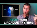 How To Reset Your Circadian Rhythms To 10X Your Sleep Chinese Body Clock