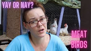 RAISING MEAT CHICKENS: Is it worth it? Is it right for you?