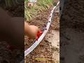 New Drip Irrigation System Shorts