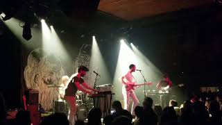 Preoccupations, Disarray