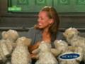 A List Celebrities Sing Sesame Street Hard To Find Montage