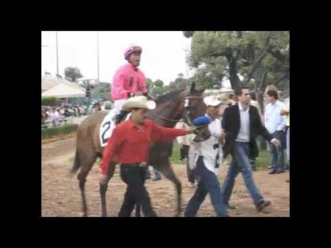 Zenyatta Vanity Handicap 2010 Paddock