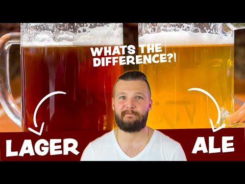 Lager or Ale Beer - What's the difference?!