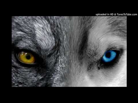 Nacion Oscura- Todo ha cambiado