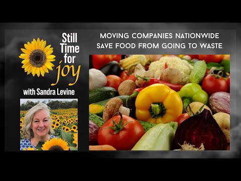 Food Donation: Feeding the Needy, Fighting Waste | Vibepedia