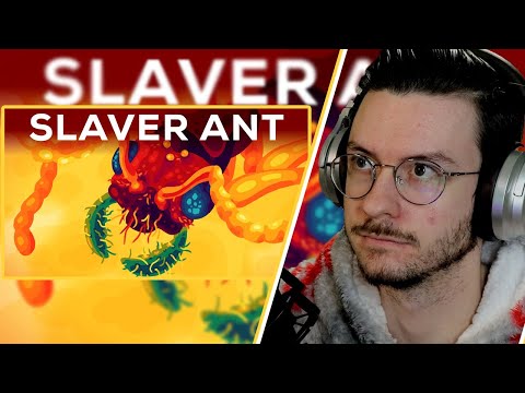 Daxellz Reacts to The Horror of the Slaver Ant by @kurzgesagt