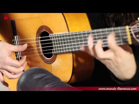 Amir John Haddad Rondeña