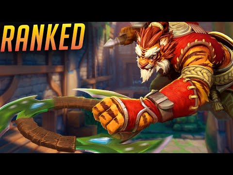 SMART PEOPLE ENJOY THESE VIDEOS | Tiberius Paladins Gameplay