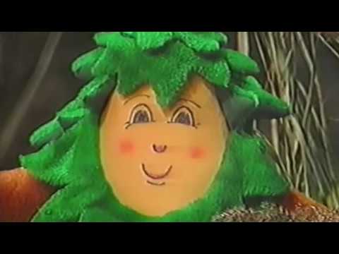 Die Woodys - Fichtl's Lied "For Jarred Land in 4K"