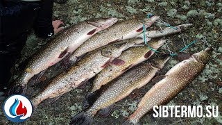 Рыбалка в селиярово ханты мансийский район