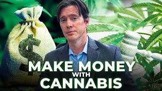 How You Can Legally Make Money With CANNABIS - Explained by A Cannabis Lawyer