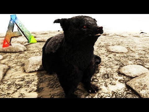 NUEVO *BINTURONG* EN ARK: SURVIVAL EVOLVED | Ark: Survival Evolved MODs