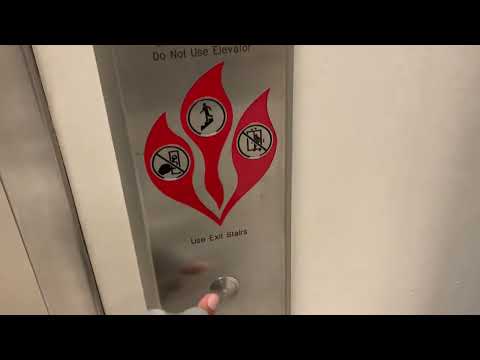 Westinghouse Hydraulic Elevator at Macy's at The Gardens Mall