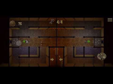 Flipped Lovers: Mirror Puzzle