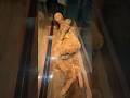 Ancient Egyptian Mummy On Display Ancient Mummy Egypt Ancienthistory