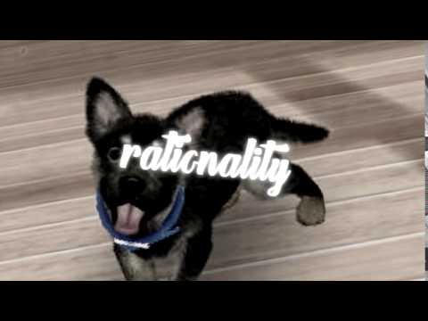 { pilots at my falling disco [15]