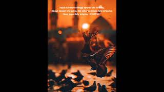 Download lagu story wa 30 detik sholawat mp3
