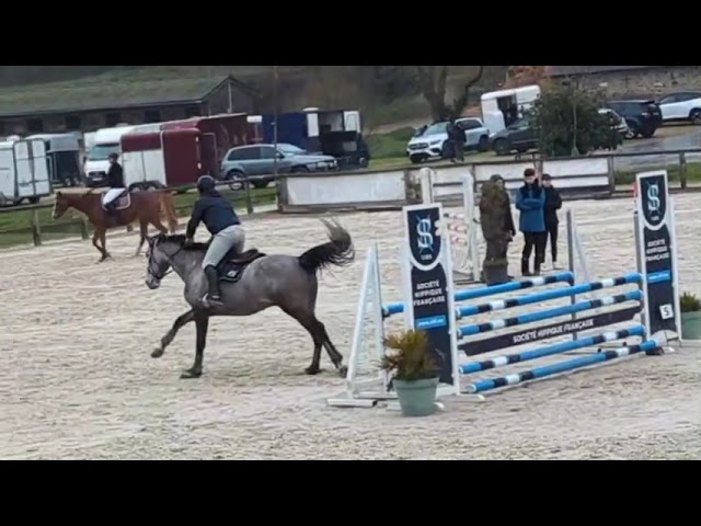 Hongre de 6ans CSO 
