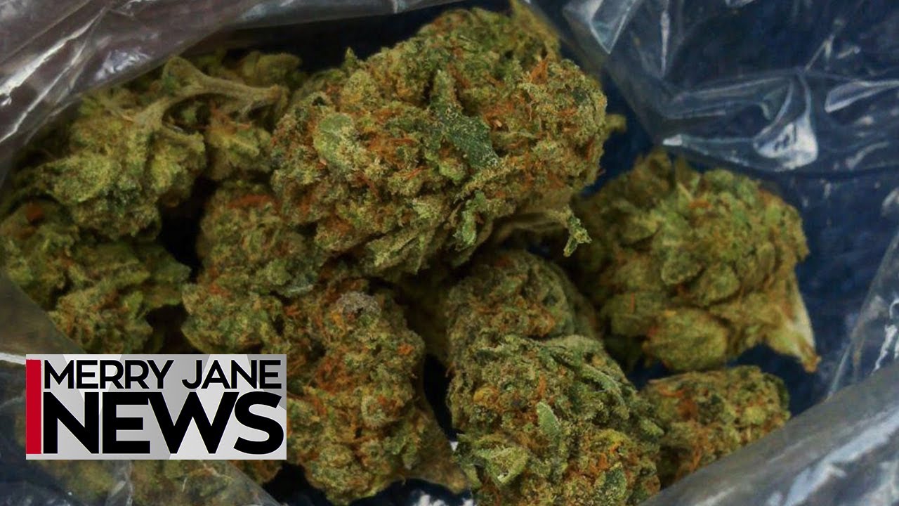 The Best Ways to Preserve Your Weed | MERRY JANE News