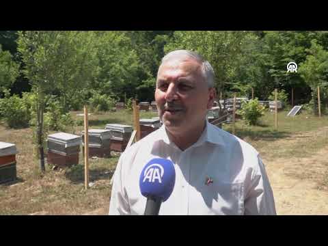 Sakarya'da arıcılar yeni sezon için bal hasadına hazır