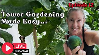 Tower Gardening Made Easy LIVE STREAM #towergarden #gardening #hydroponicgardening #farm