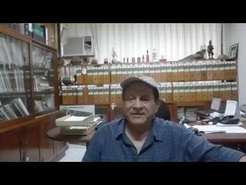 La importancia de los bosques amazónicos en Iquitos y Loreto. Entrevista a Dennis del Castillo, director del Programa Bosques y Servicios Ambientales del IIAP. Enero 2017.