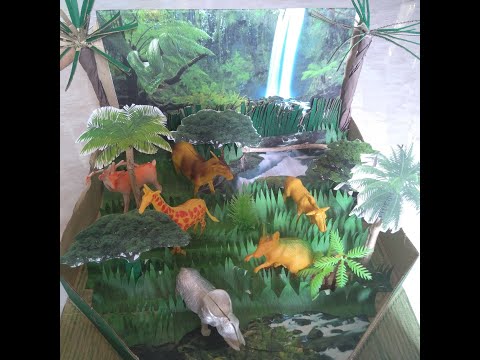 DIY  3D  Tropical Rain forest Biom Diorama 