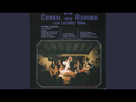 Tanguillo del very güel (Jaleo por tanguillo)