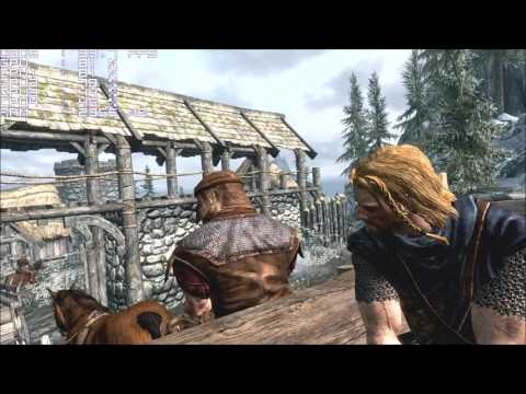 Quad K8 Opteron - HD3850 AGP: Skyrim